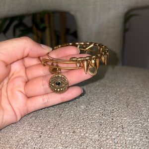 Two Alex and Ani Gold Charm Bracelets